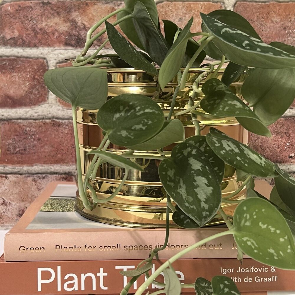 VTG Bristol Brass & Copper Inc Solid Brass & Copper Planter Cachepot Made in USA